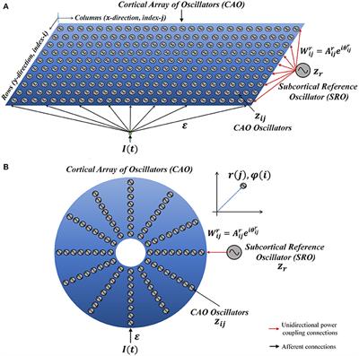 Modeling the tonotopic map using a two-dimensional array of neural oscillators